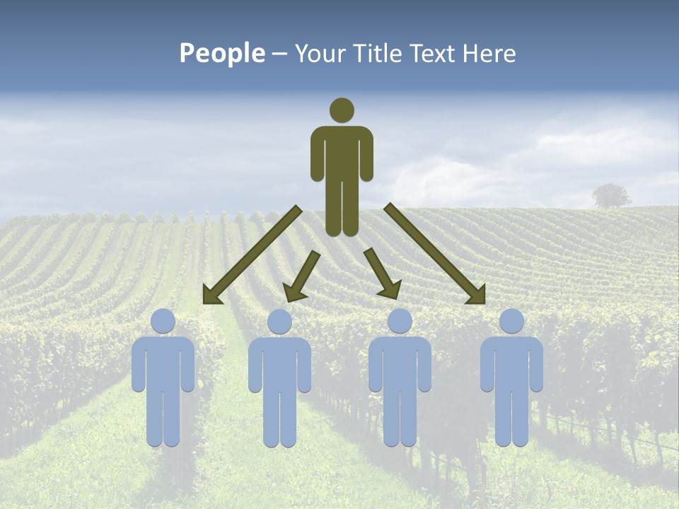 Beauty Tourism Fruit PowerPoint Template