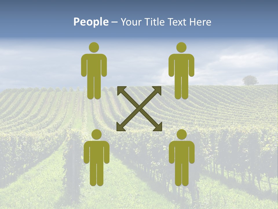 Beauty Tourism Fruit PowerPoint Template