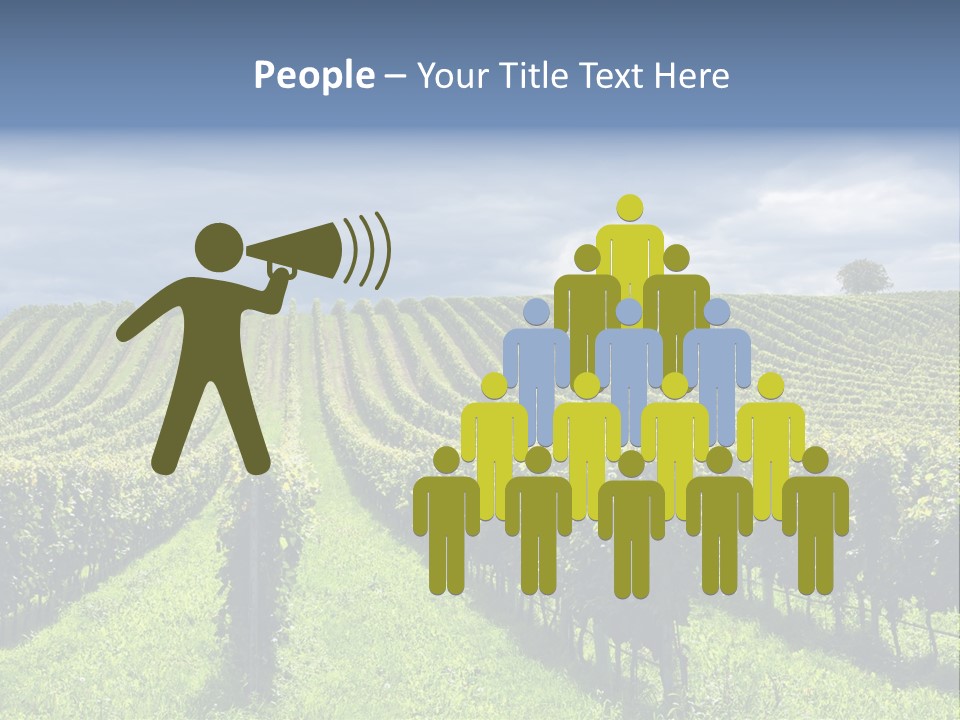 Beauty Tourism Fruit PowerPoint Template