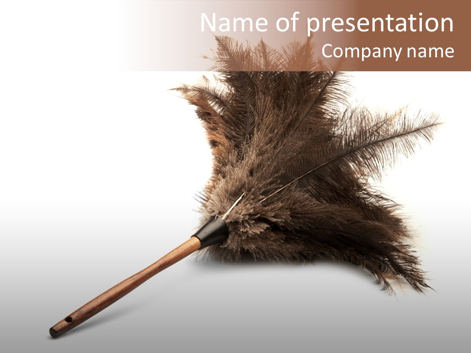 Horizontal Isolated Feather PowerPoint Template