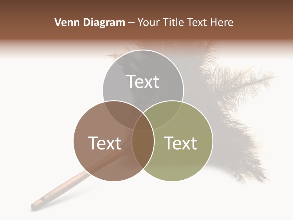 Horizontal Isolated Feather PowerPoint Template