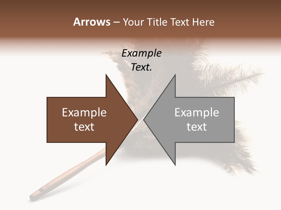 Horizontal Isolated Feather PowerPoint Template