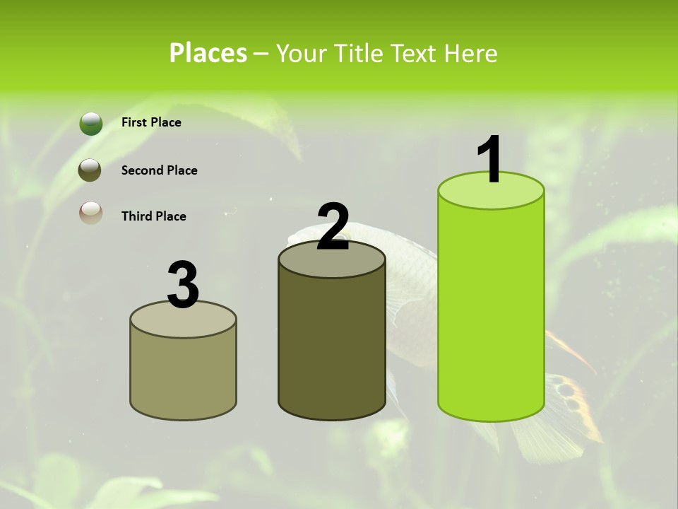 Freshwater Fresh Root PowerPoint Template