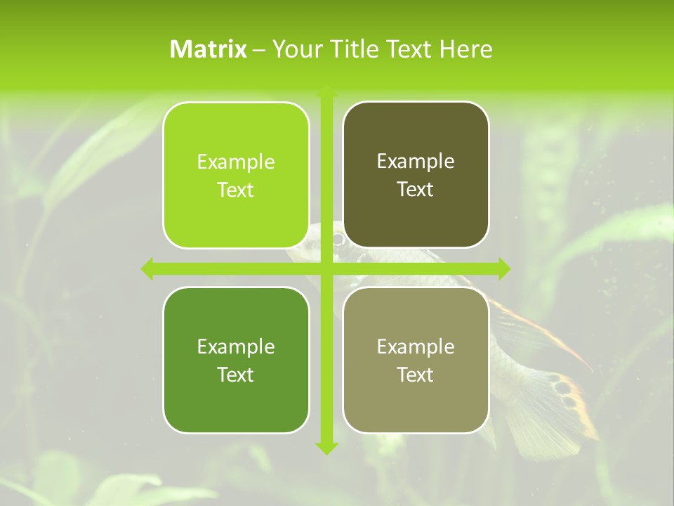 Freshwater Fresh Root PowerPoint Template