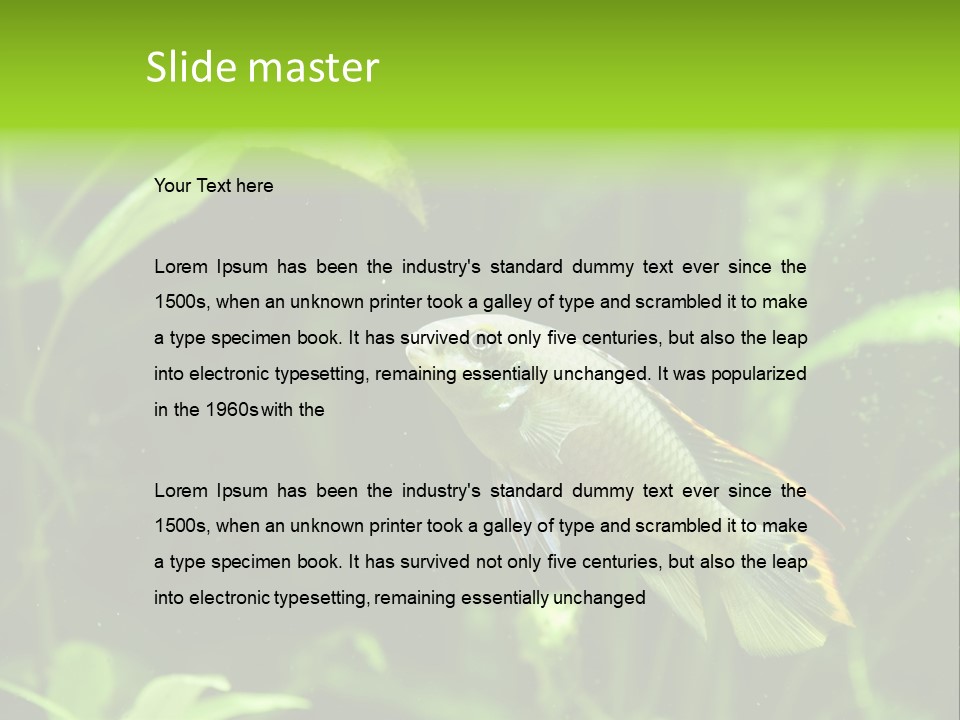 Freshwater Fresh Root PowerPoint Template