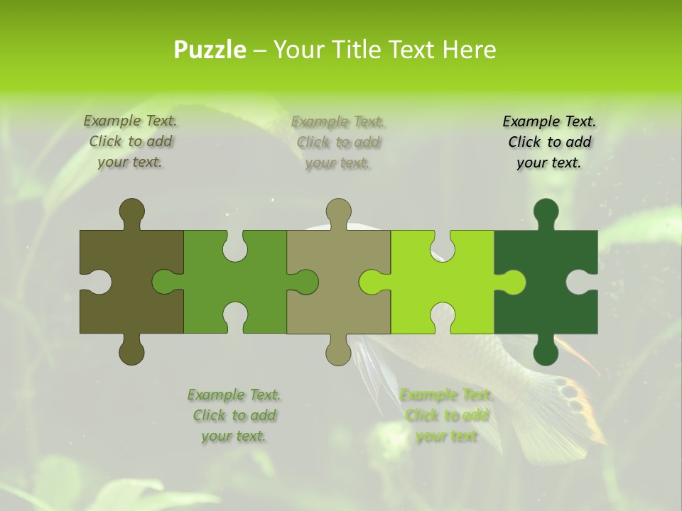 Freshwater Fresh Root PowerPoint Template