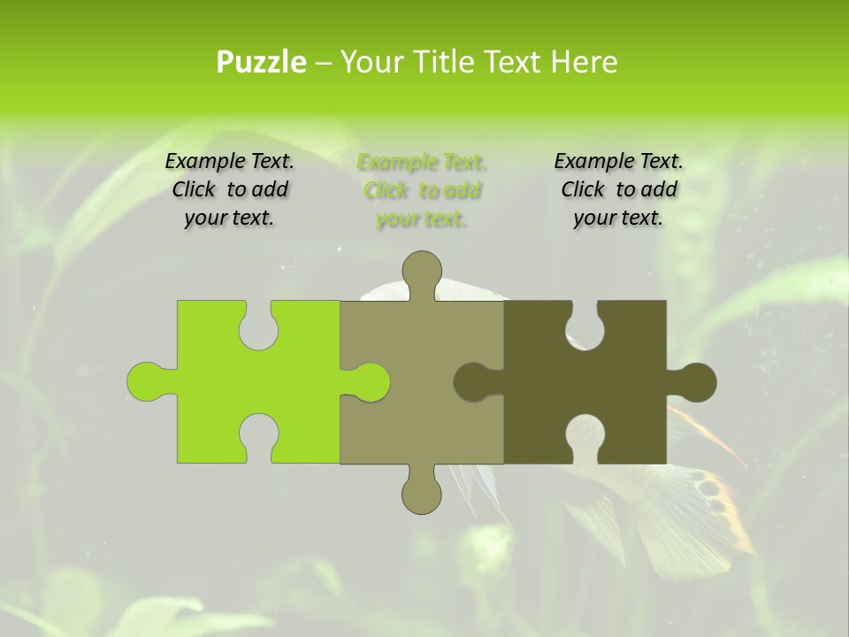 Freshwater Fresh Root PowerPoint Template