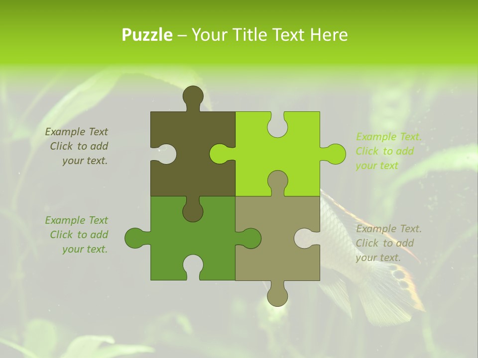 Freshwater Fresh Root PowerPoint Template