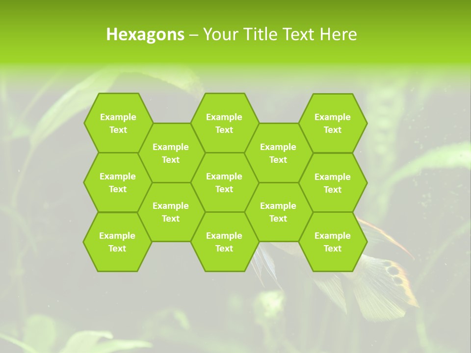 Freshwater Fresh Root PowerPoint Template