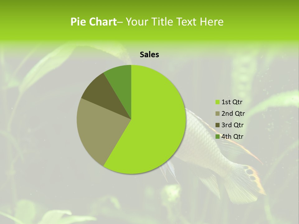Freshwater Fresh Root PowerPoint Template