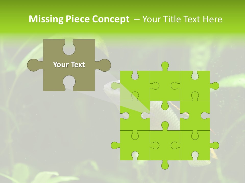 Freshwater Fresh Root PowerPoint Template