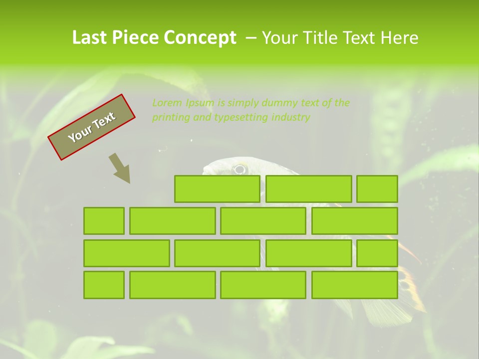 Freshwater Fresh Root PowerPoint Template