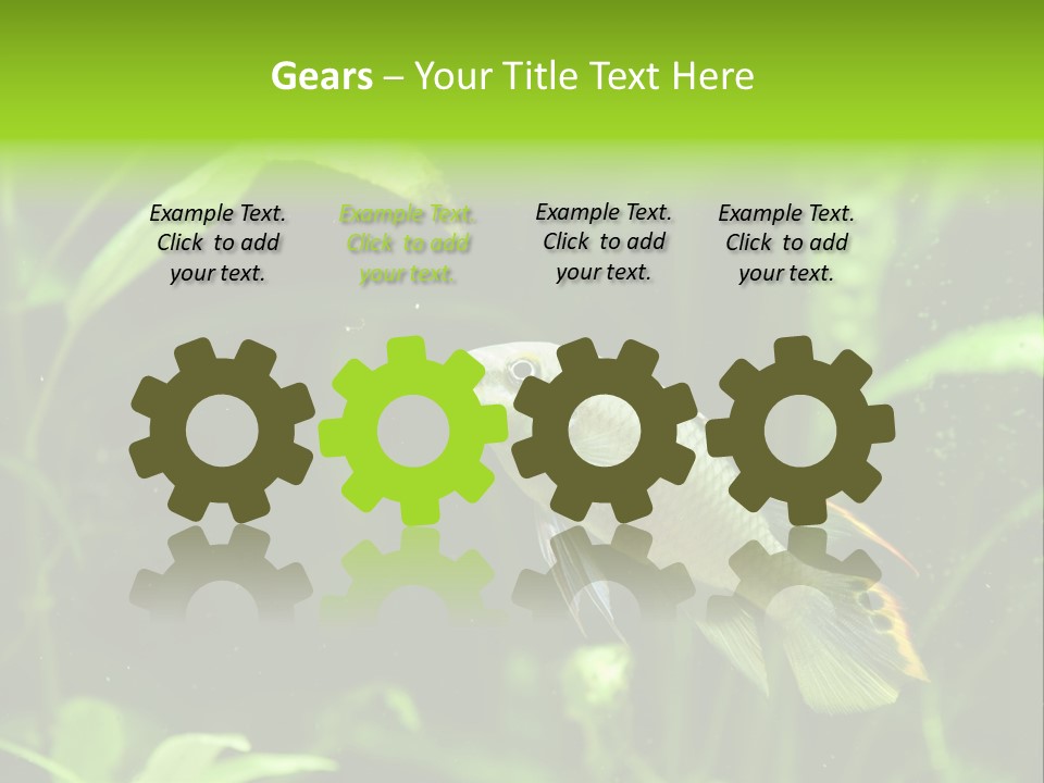 Freshwater Fresh Root PowerPoint Template