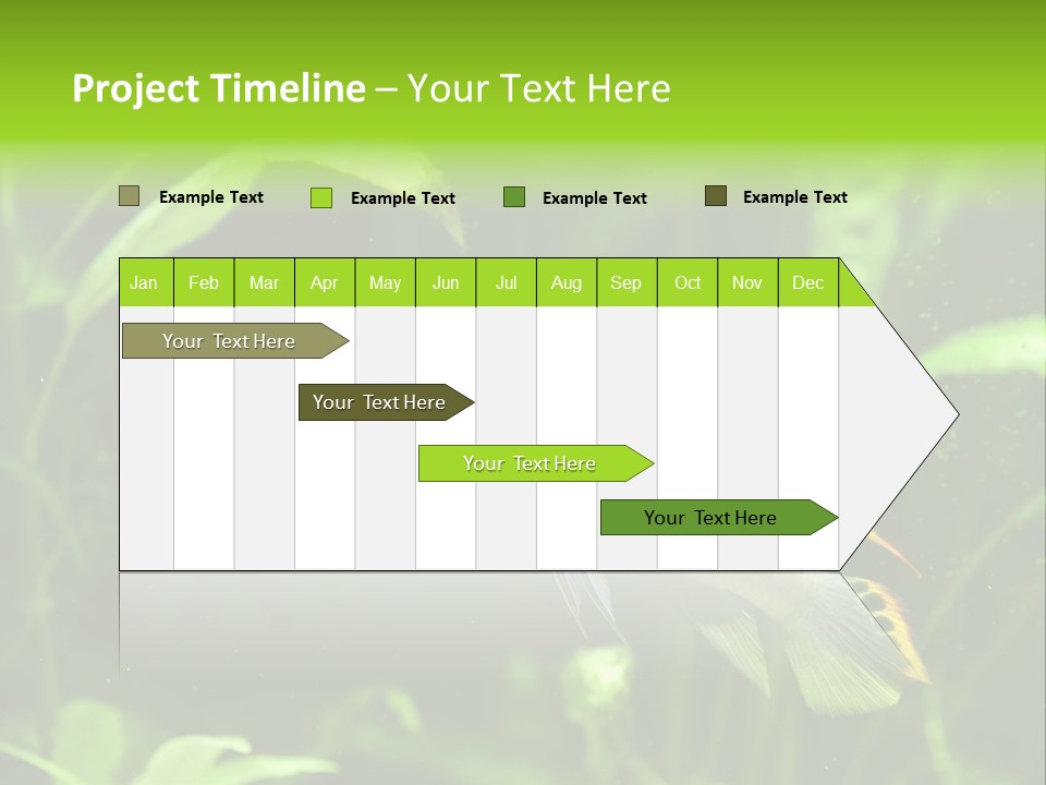 Freshwater Fresh Root PowerPoint Template