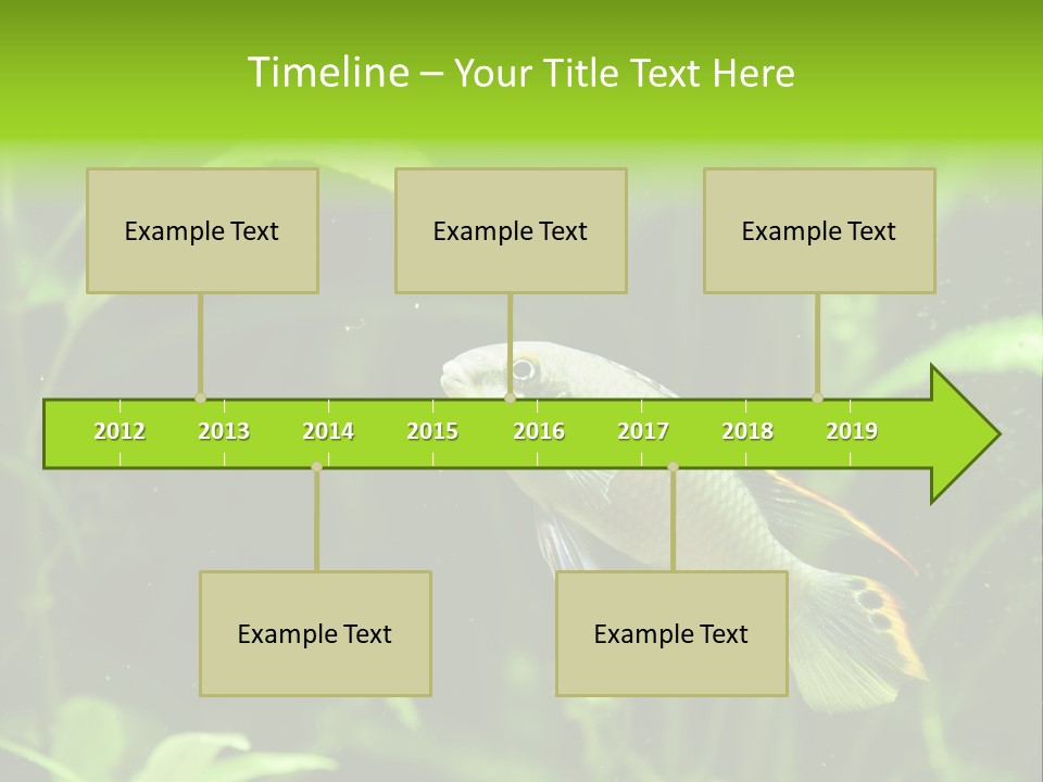 Freshwater Fresh Root PowerPoint Template