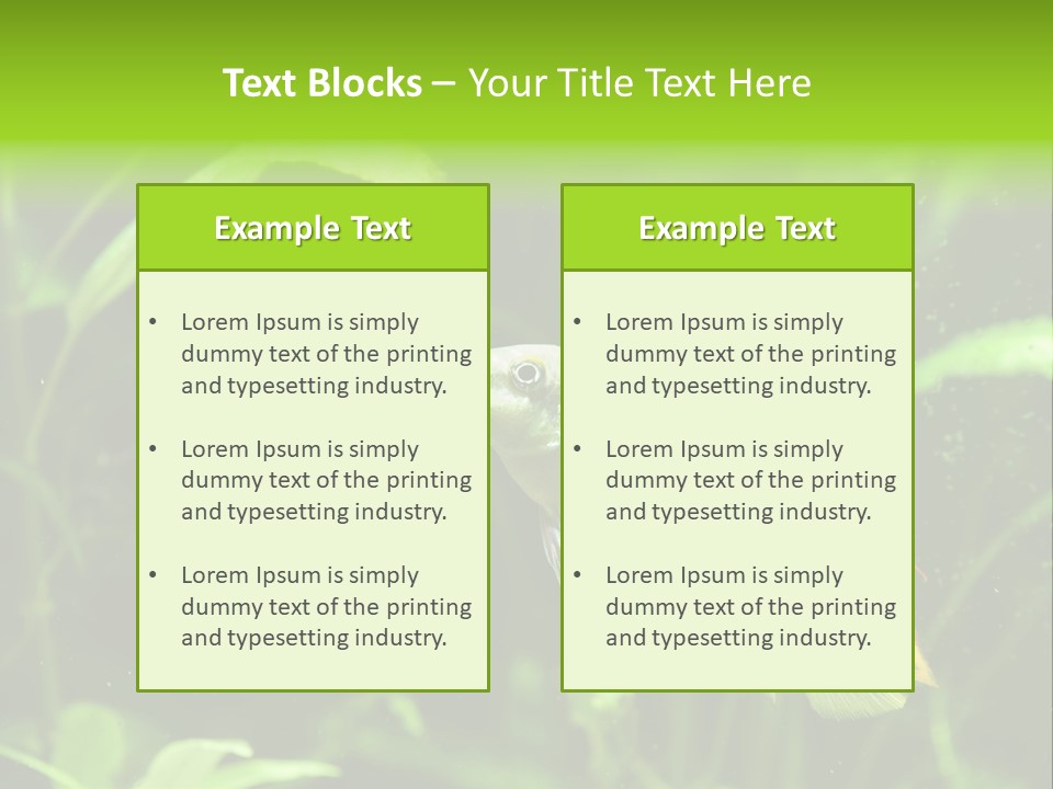 Freshwater Fresh Root PowerPoint Template