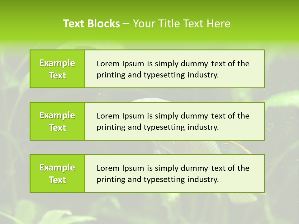 Freshwater Fresh Root PowerPoint Template