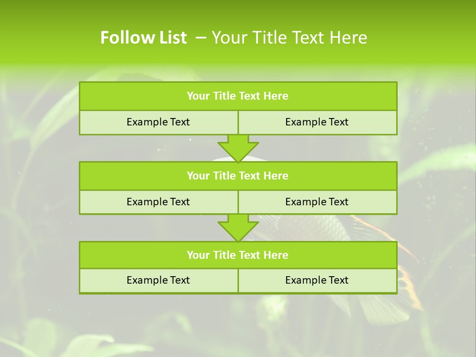 Freshwater Fresh Root PowerPoint Template
