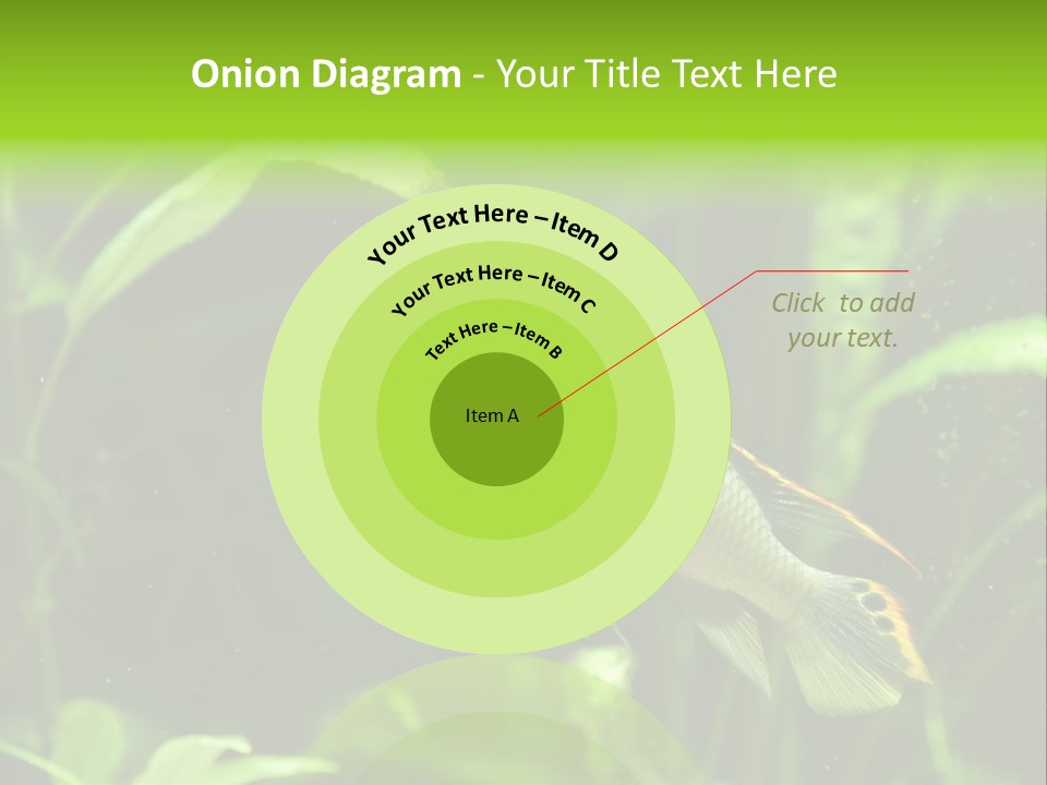 Freshwater Fresh Root PowerPoint Template