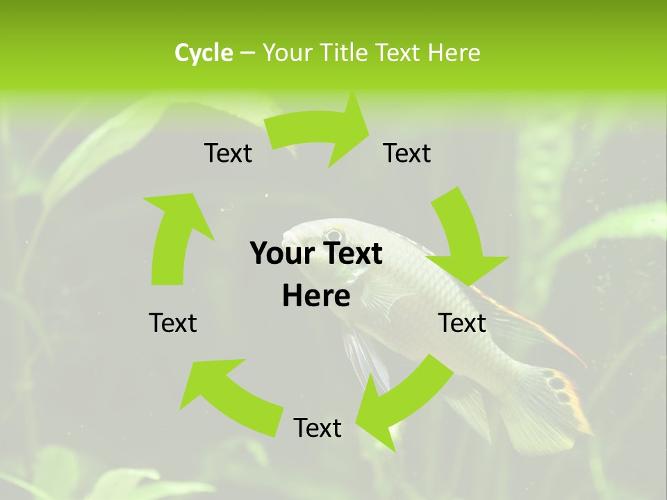 Freshwater Fresh Root PowerPoint Template