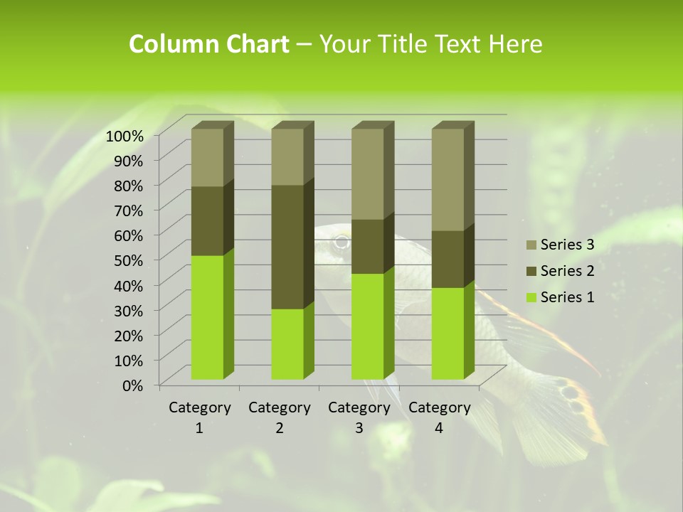 Freshwater Fresh Root PowerPoint Template