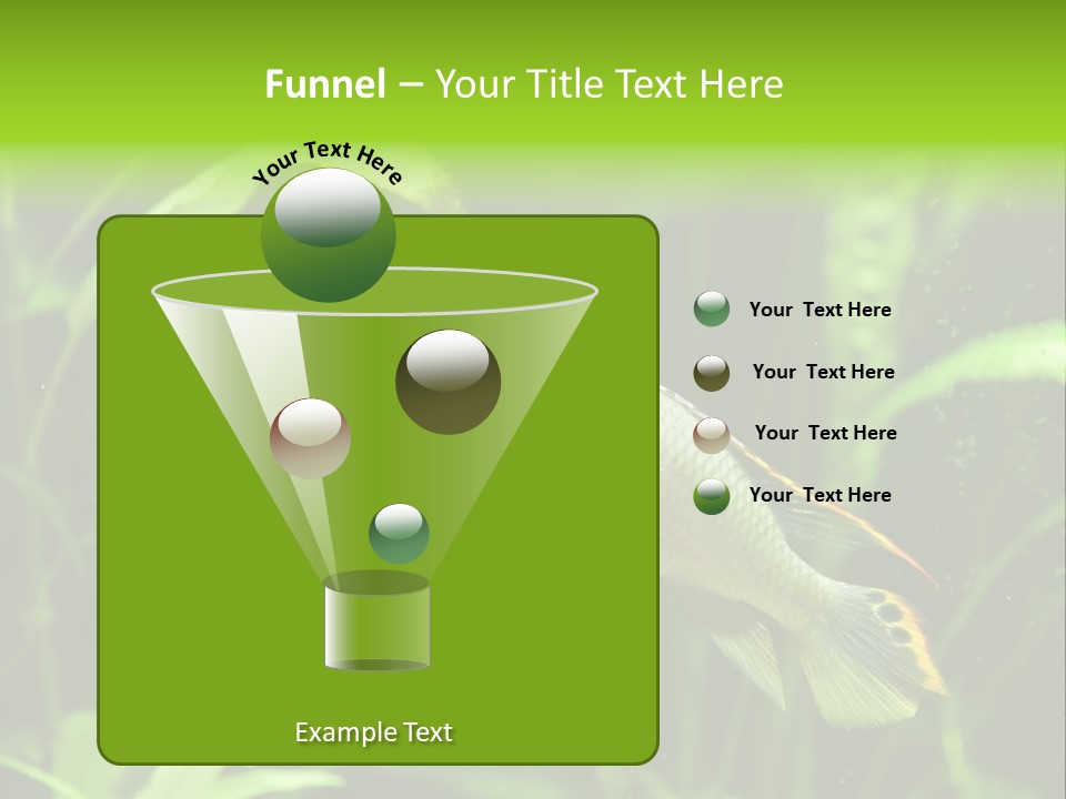 Freshwater Fresh Root PowerPoint Template