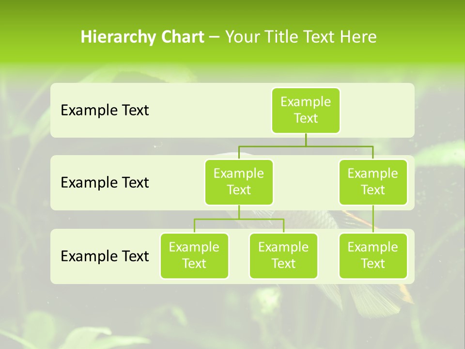 Freshwater Fresh Root PowerPoint Template
