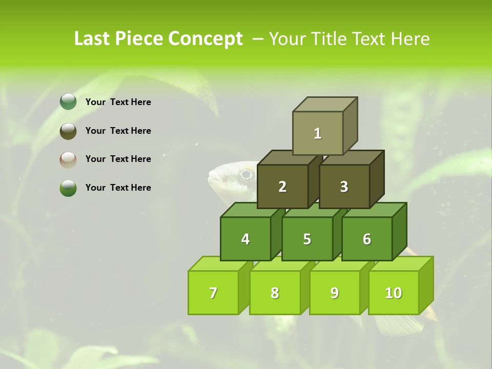 Freshwater Fresh Root PowerPoint Template