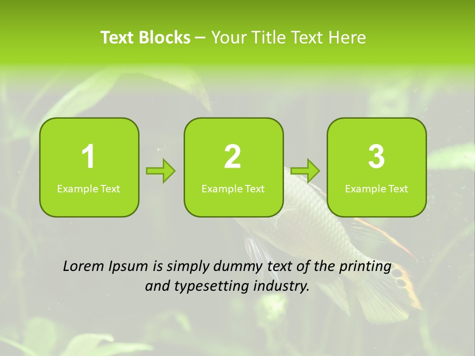 Freshwater Fresh Root PowerPoint Template
