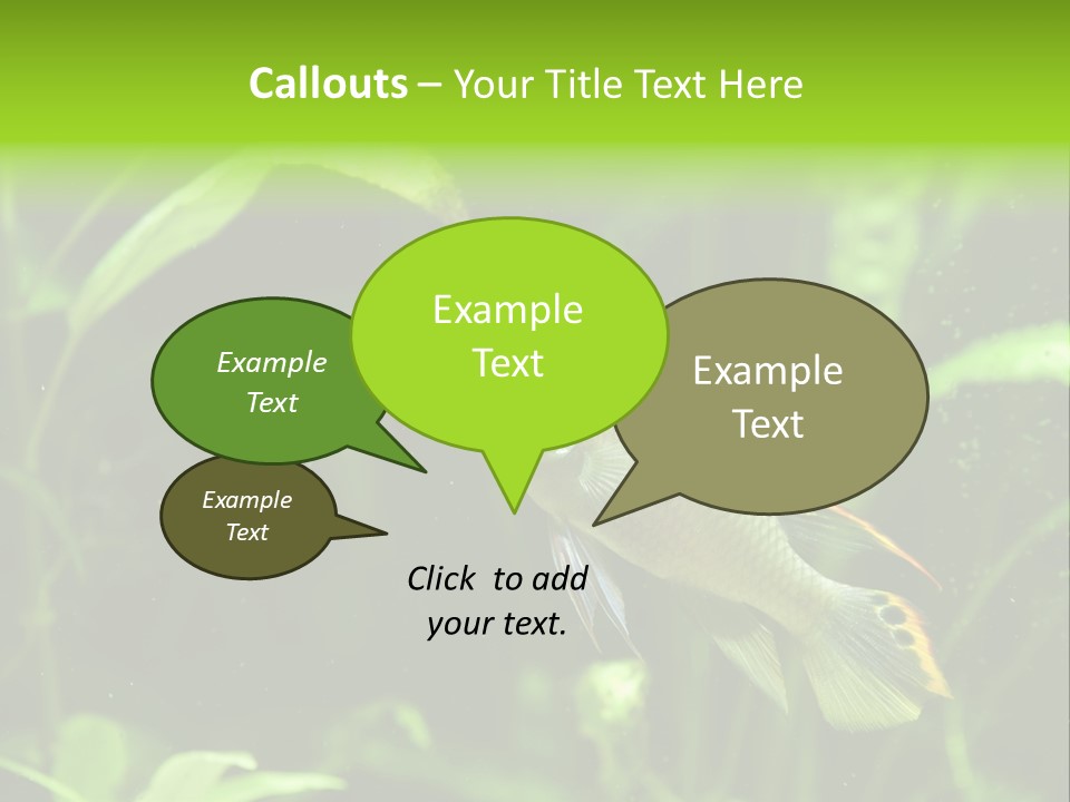 Freshwater Fresh Root PowerPoint Template