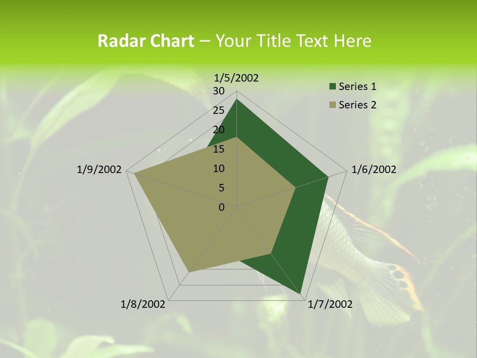 Freshwater Fresh Root PowerPoint Template