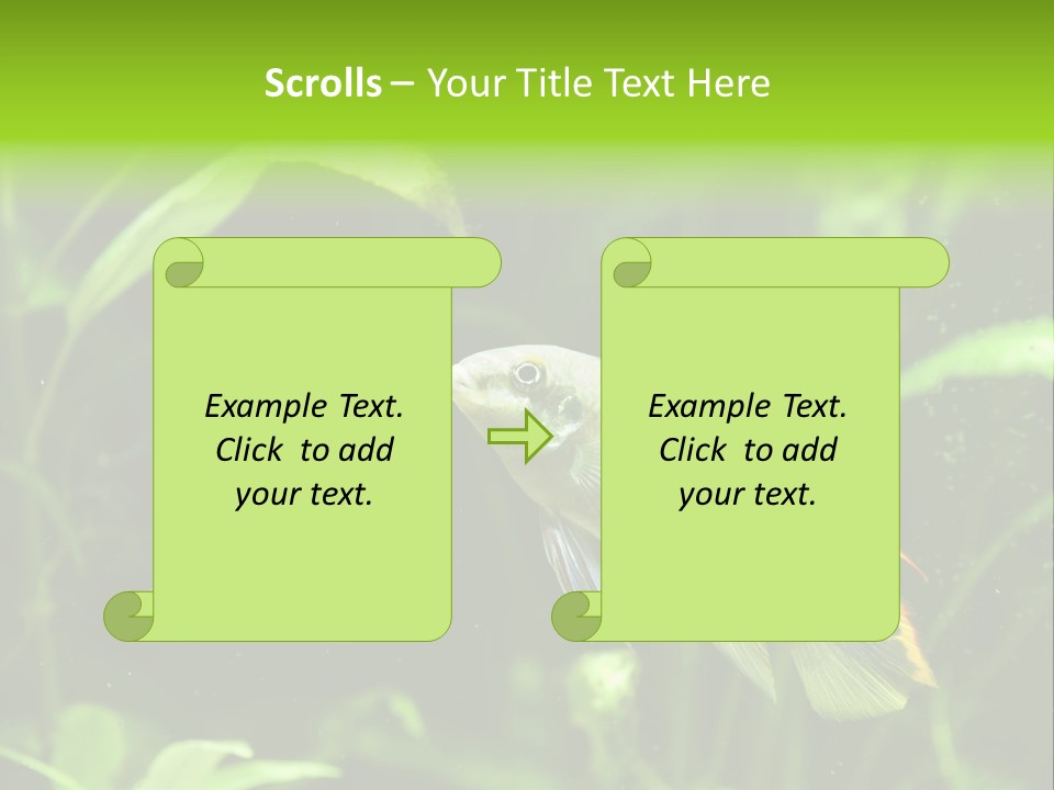 Freshwater Fresh Root PowerPoint Template