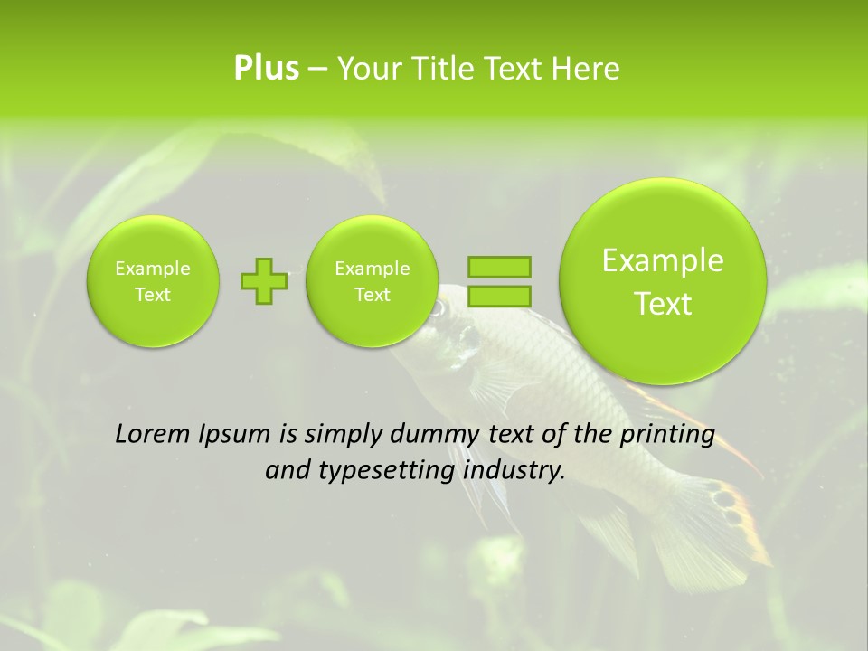 Freshwater Fresh Root PowerPoint Template