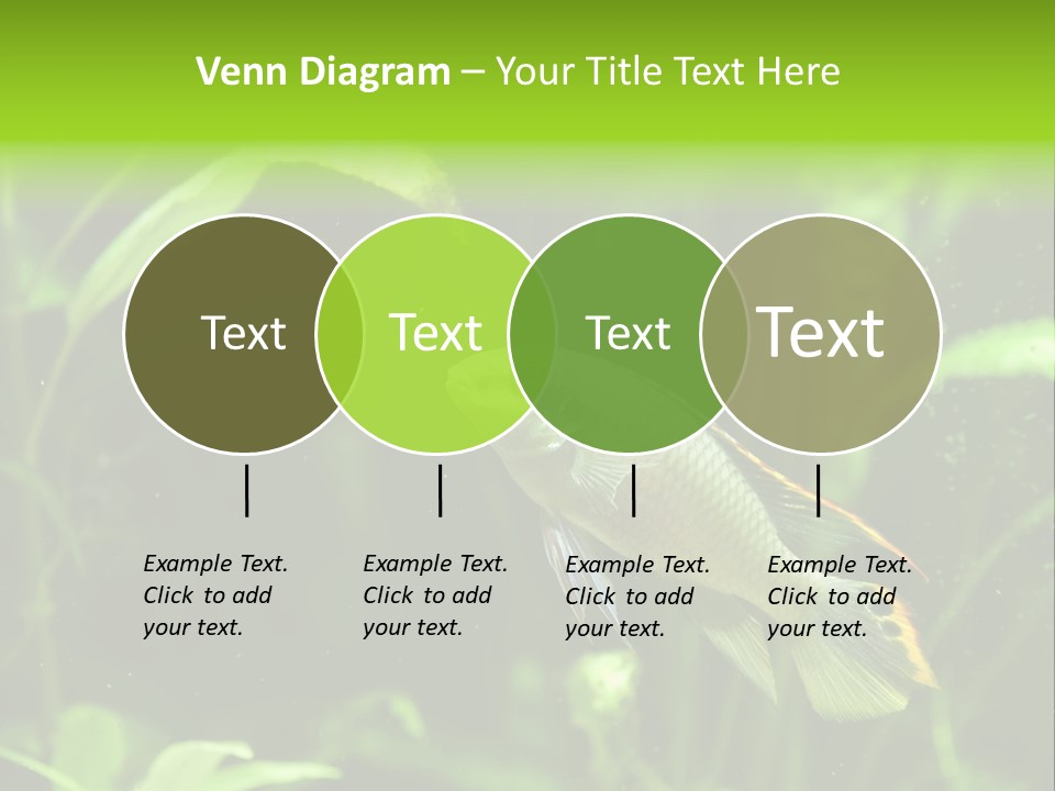 Freshwater Fresh Root PowerPoint Template
