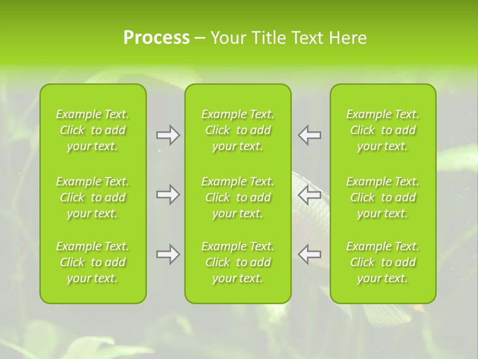 Freshwater Fresh Root PowerPoint Template