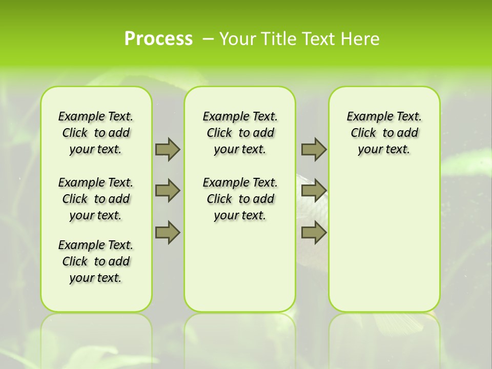 Freshwater Fresh Root PowerPoint Template