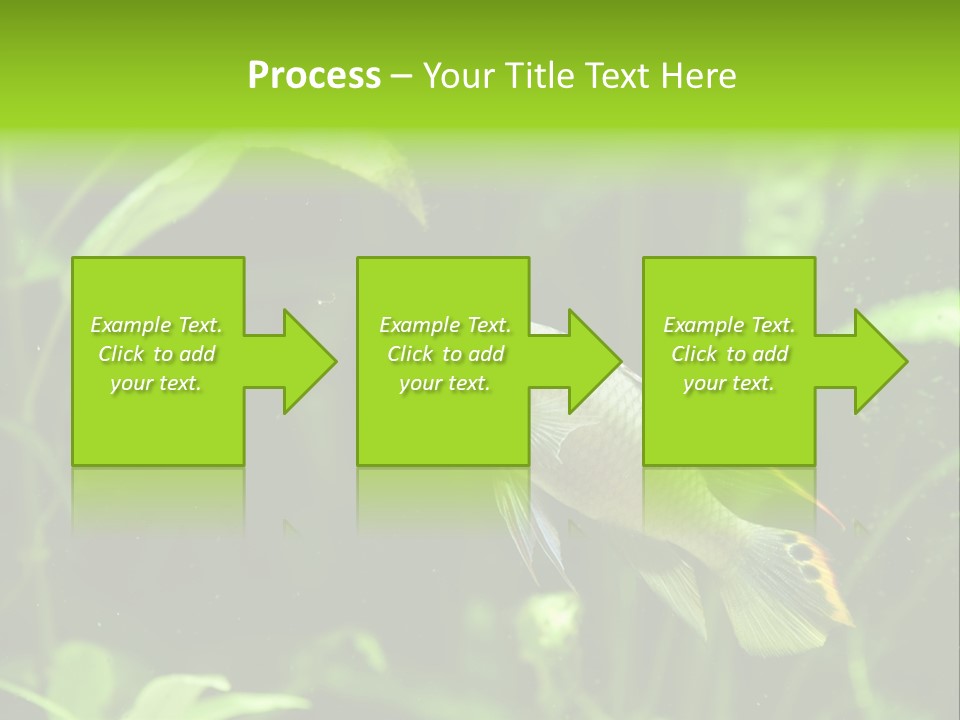 Freshwater Fresh Root PowerPoint Template