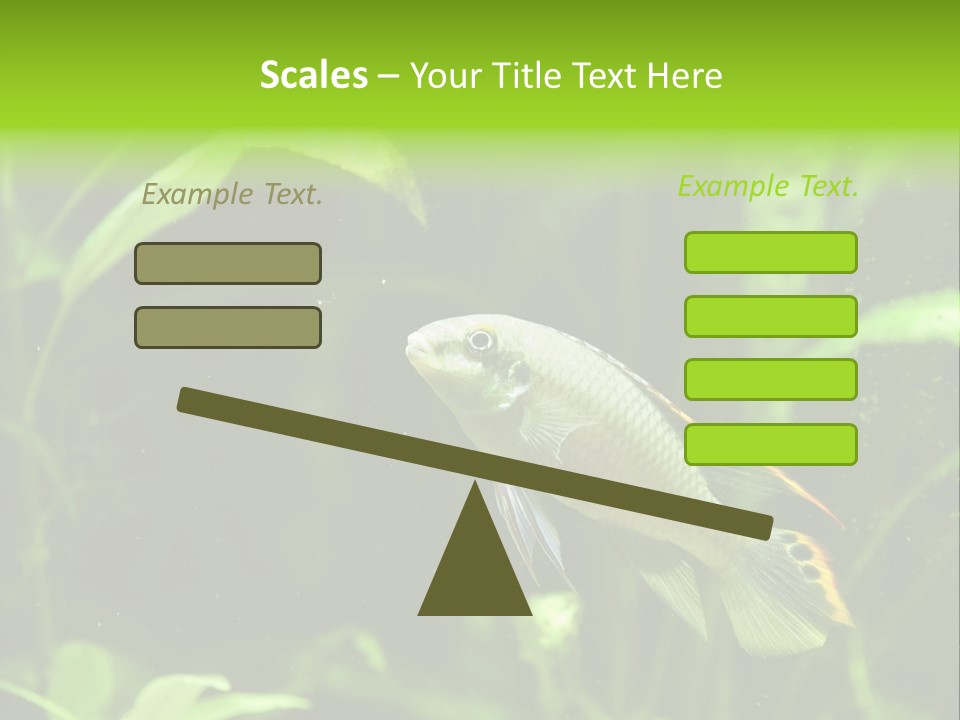 Freshwater Fresh Root PowerPoint Template