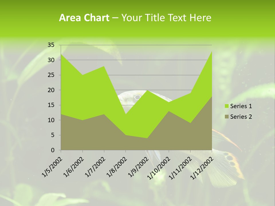 Freshwater Fresh Root PowerPoint Template