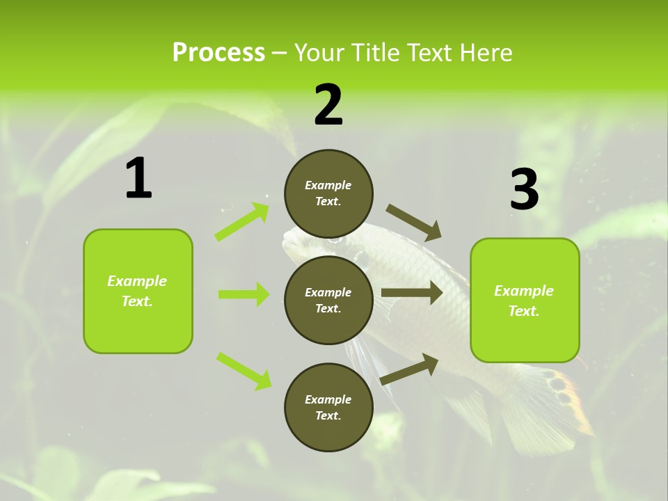 Freshwater Fresh Root PowerPoint Template