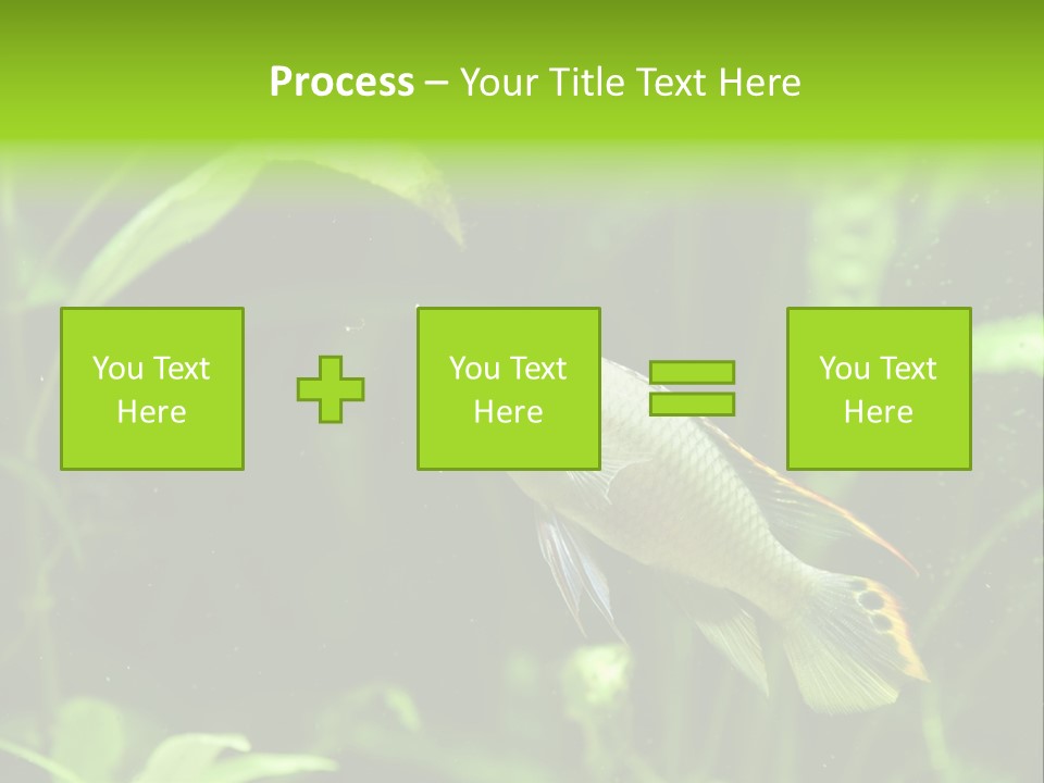 Freshwater Fresh Root PowerPoint Template