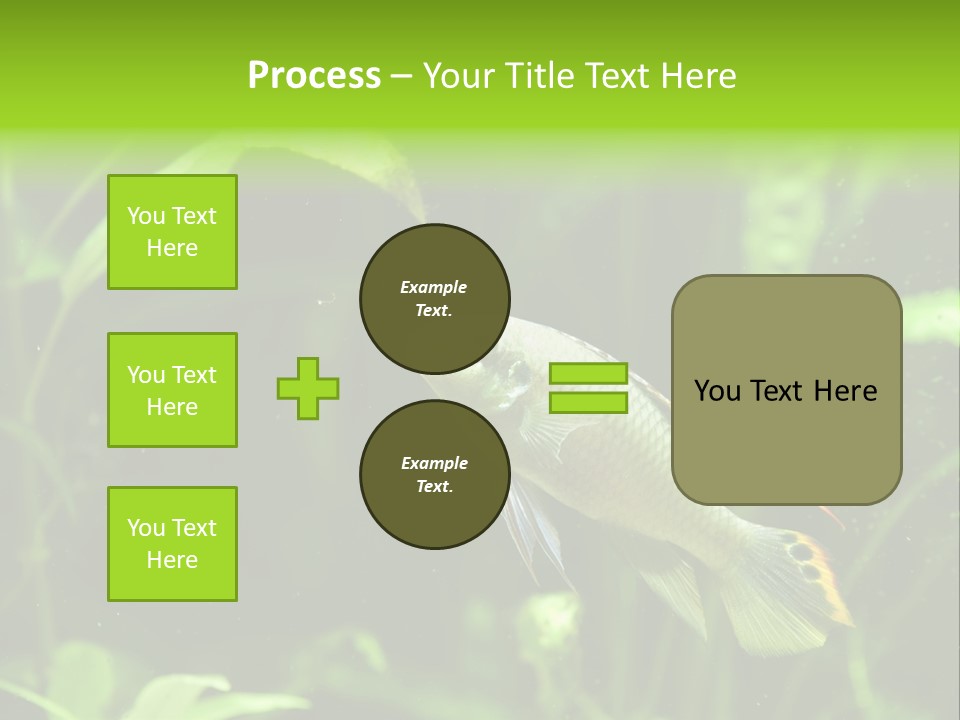 Freshwater Fresh Root PowerPoint Template
