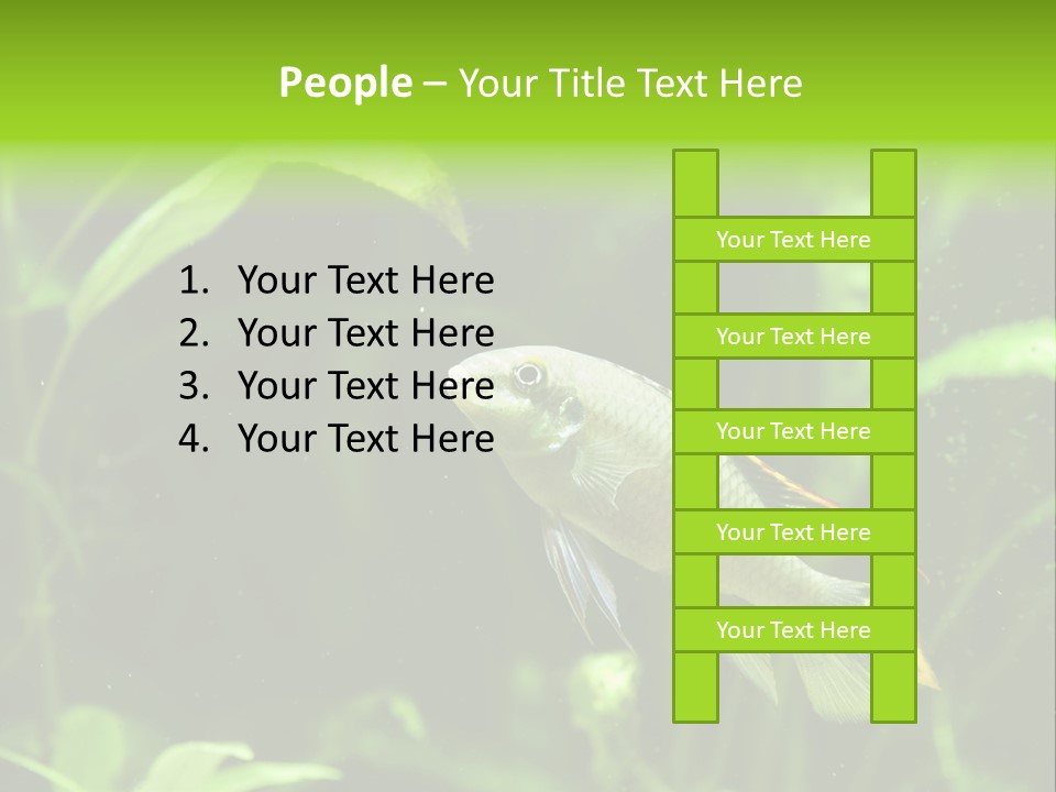 Freshwater Fresh Root PowerPoint Template