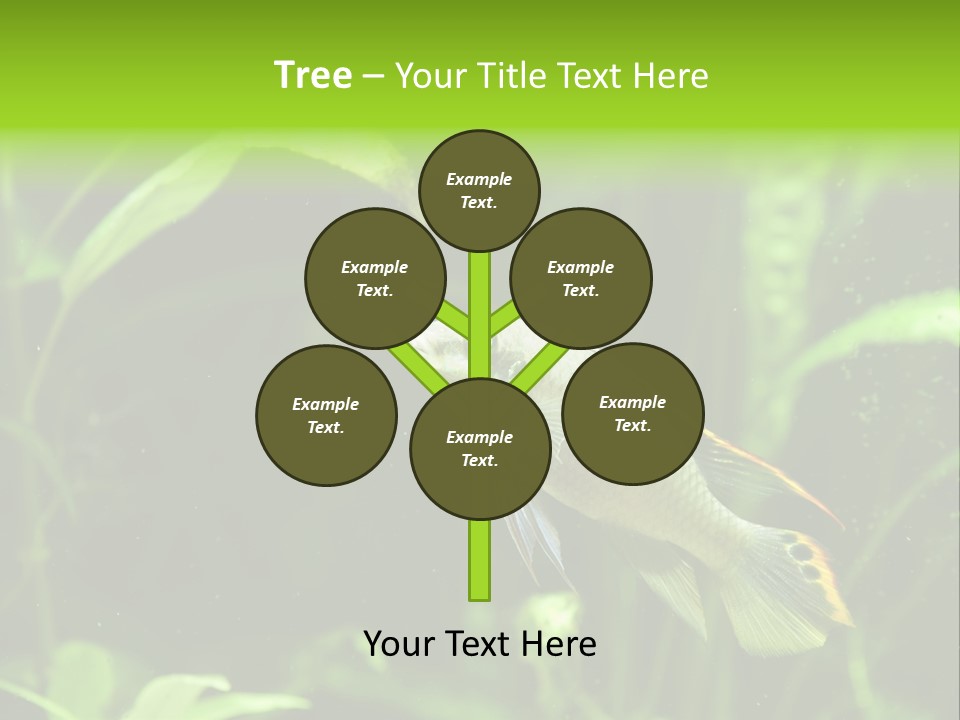 Freshwater Fresh Root PowerPoint Template