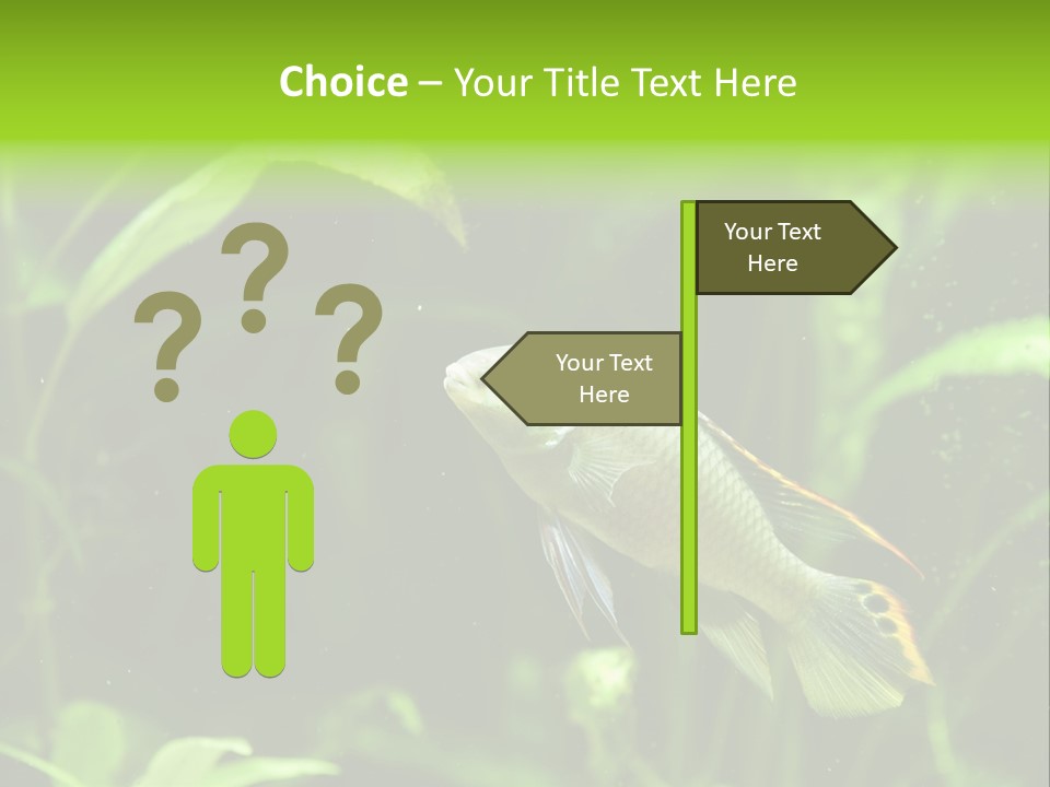 Freshwater Fresh Root PowerPoint Template