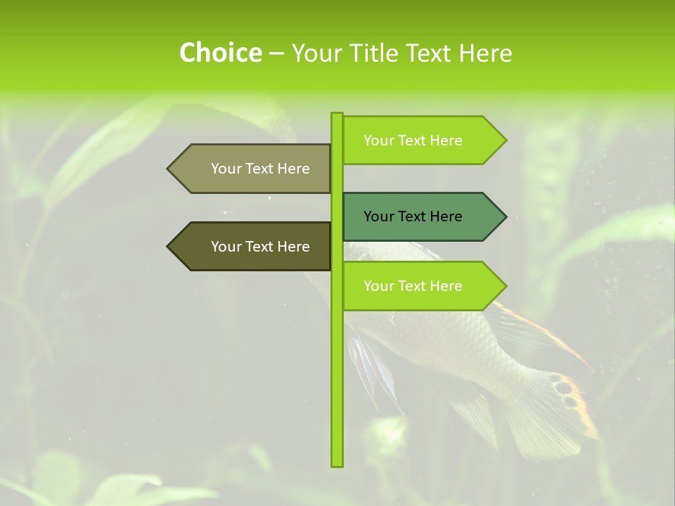 Freshwater Fresh Root PowerPoint Template
