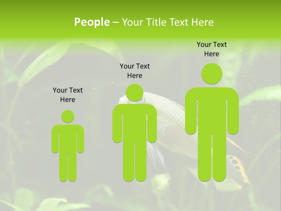 Freshwater Fresh Root PowerPoint Template