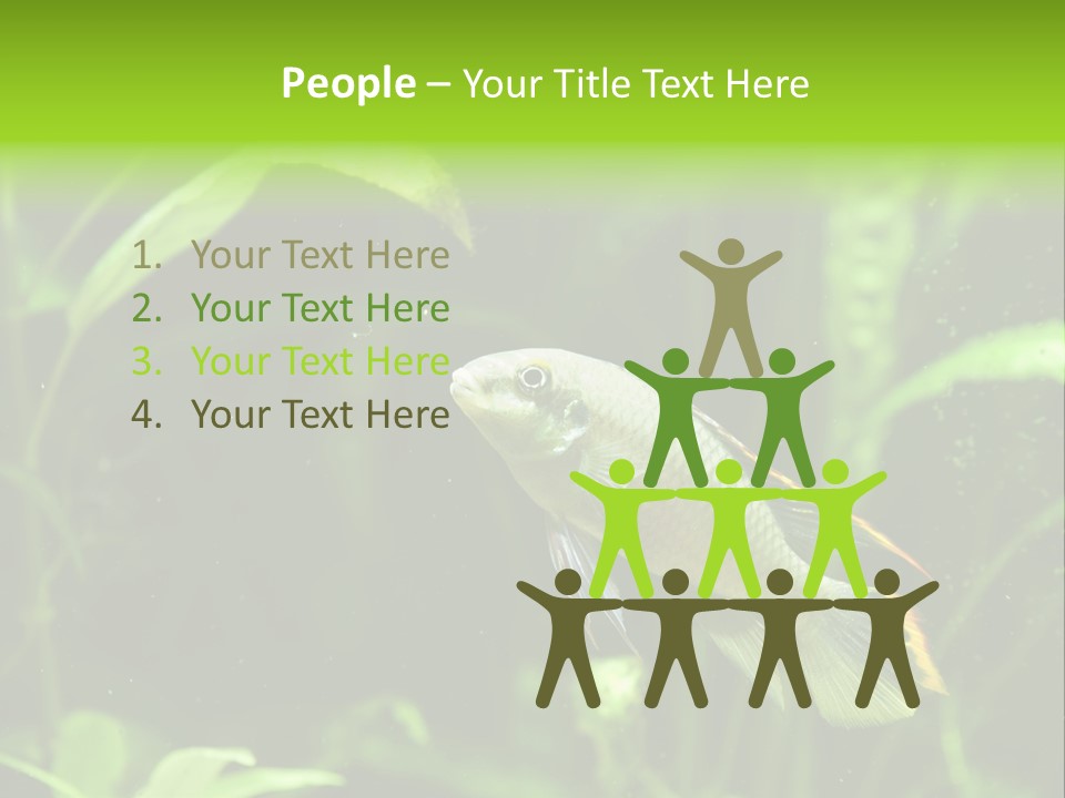 Freshwater Fresh Root PowerPoint Template