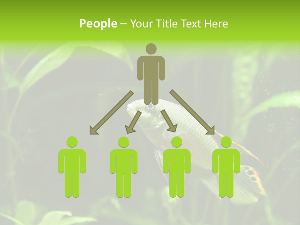 Freshwater Fresh Root PowerPoint Template