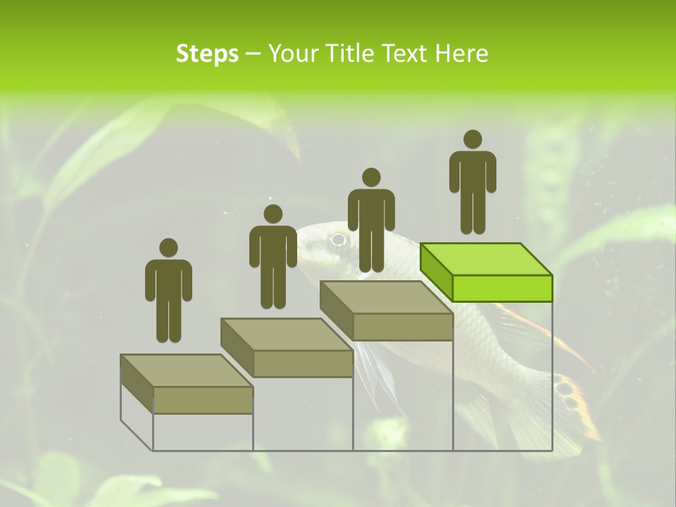 Freshwater Fresh Root PowerPoint Template